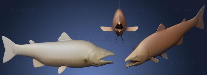 3D model Pink Salmon (STL)